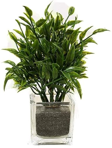 KGFDSGDS Künstliche Blumen, Künstliche Pflanzen Künstliche Blumen Bonsai, Glasvase Für Hochzeit Home Party Büro Tischdekoration 16Cm,A von KGFDSGDS