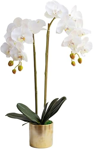 KGFDSGDS Kunstblume mit Topf Orchidee Kunstblume Modern Schlicht Kunstblume Phalaenopsis Vase Set Wohnzimmer Heimdekoration Kunstpflanzen Kunstpflanzen Orchidee (A) von KGFDSGDS