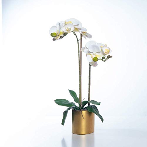 KGFDSGDS Kunstblumen-Set, Kunstblumen mit Vase, Orchidee, PU-Phalaenopsis, Kunstblume in Vase, Kunstblume im Topf für Wohnzimmer-Dekoration, schöne Kunstblumen und Vasen (Col (C) von KGFDSGDS