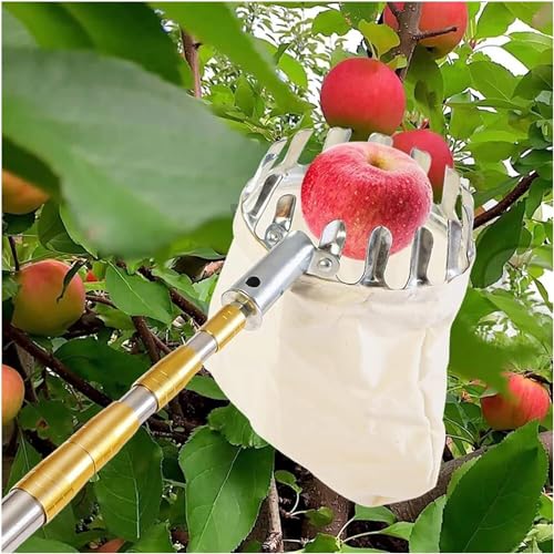 KKXXYQFC Obstpflücker, Obstpflücker-Werkzeug, Obstpflücker Obstpflücker-Werkzeug Obstpflückerstange mit Korb Teleskop-Obstpflückerkorb Praktische Erntehilfe (4 m) von KKXXYQFC