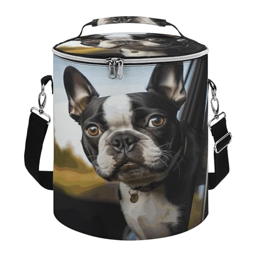 Kühltasche mit Boston-Terrier-Motiv, wiederverwendbar, tragbar, isoliert, geeignet für Büros, Picknicks, Strände und Reisen von KLSVTMEA