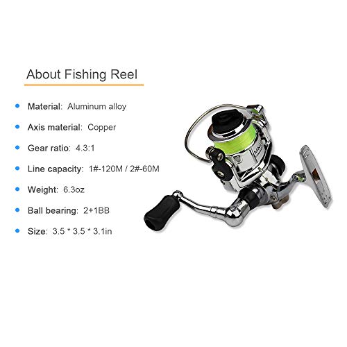 Pen Fishing Rod,KOCAN 1 Mt / 1,4 Mt Tasche Faltbare Angelrolle Combo Mini Pen Angelrute Kit Teleskop Angelrute Spinnrolle Combo Kit von KOCAN