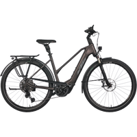 KTM Macina Style 710 750 Wh Damen Trapez grau 2025 KTM Macina Style 710 750 Wh Damen Trapez grau 2025 von KTM