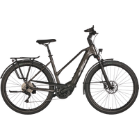 KTM Macina Style 740 750 Wh Damen Trapez grau 2025 KTM Macina Style 740 750 Wh Damen Trapez grau 2025 von KTM