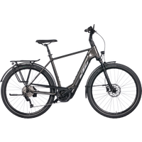 KTM Macina Style 740 750 Wh Herren grau 2024 von KTM