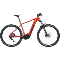 KTM Macina Team 793 29'' 750 Wh Herren orange 2025 KTM Macina Team 793 29'' 750 Wh Herren orange 2025 von KTM