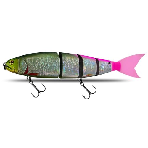 KXJSYL Tool Swimbait 245 schwimmender Köder für große Köder, Barsch, Wels, Hartköder, 245 Köder (X, schwimmend, 245 mm, 105 g) von KXJSYL Tool