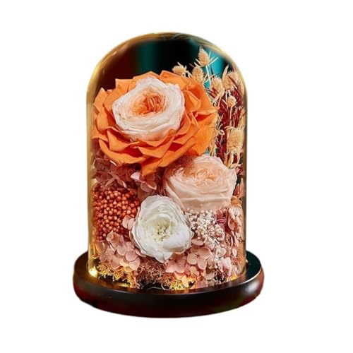 KXQYIKYI Eternals Trockenblumen-Geschenkbox mit Glasdeckel, wahre Blume, Geschenk zum Lehrertag für Freundin (D 15 x 20 cm) von KXQYIKYI