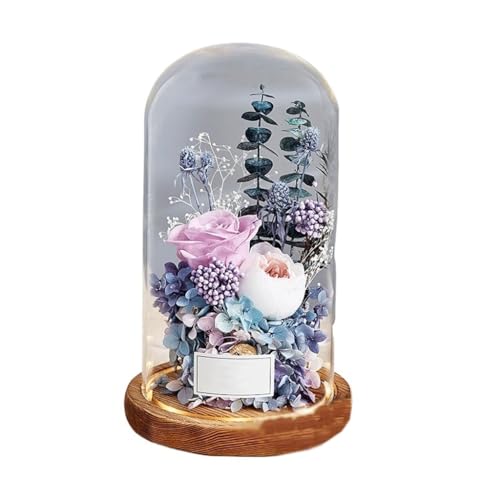 KXQYIKYI Geschenkvorschlag für Freundin: Eternals Blumen-Geschenkbox mit Glasdeckel zum Valentinstag, Geburtstag (D 15 x 22 cm) von KXQYIKYI