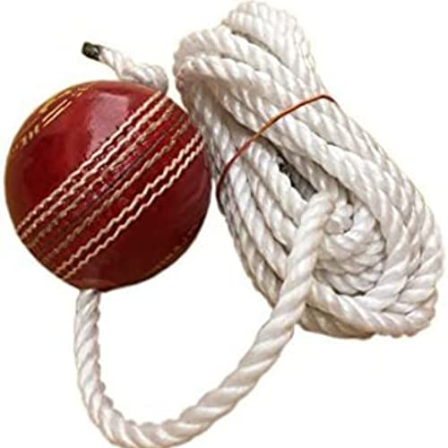 Kalindri Sports Cricketball aus Leder, zum Aufhängen, 1 Stück (rot), Klopfball mit Seil. Kalindri Sports Cricketball aus Leder, zum Aufhängen, 1 Stück (rot), Klopfball mit Seil. von Kalindri Sports