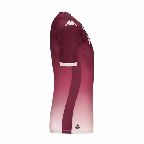 Kappa ABOUPRE Pro 8 UBB ACT Jersey UBB | Herren | Größe M | Bordeaux/Pink Almond von Kappa