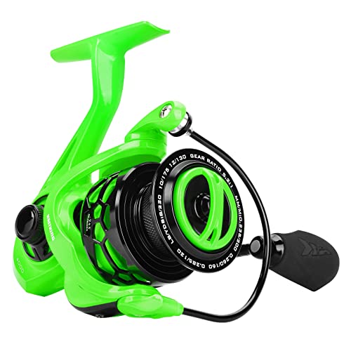 KastKing Zephyr Spinnrolle, grün, Größe 3000, leicht bis 158 g, 7+1BB glatte leistungsstarke Angelrolle, Süß- und Salzwasser-Angelrolle, übergroßer Edelstahl-Hauptschaft KastKing Zephyr Spinnrolle, grün, Größe 3000, leicht bis 158 g, 7+1BB glatte leistungsstarke Angelrolle, Süß- und Salzwasser-Angelrolle, übergroßer Edelstahl-Hauptschaft von KastKing