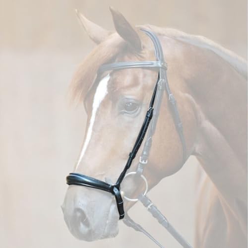 Kavalkade Reithalfter Hannoveranisch Ecoline - Schwarz, Braun - Vollblut, Pony, Warmblut - Polsterung für erhöhten Kavalkade Reithalfter Hannoveranisch Ecoline - Schwarz, Braun - Vollblut, Pony, Warmblut - Polsterung für erhöhten von Kavalkade