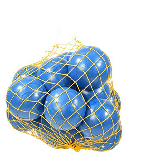 Kawanyo 16er Set Mobilitybälle Mobility Ball Yoga Pilates Fitness 16x Gymnastik 22cm + Ballnetz Kawanyo 16er Set Mobilitybälle Mobility Ball Yoga Pilates Fitness 16x Gymnastik 22cm + Ballnetz von Kawanyo