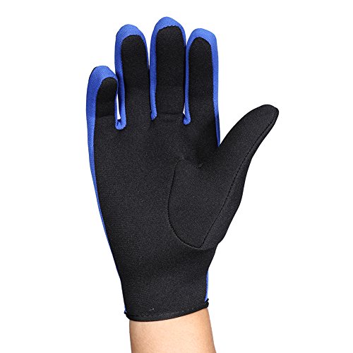 Keenso 1 Paar Set 3 Farben Tauchen Neopren Schnorcheln Kajakfahren Surfen Wassersport Handschuhe (Schwarz und blau) von Keenso