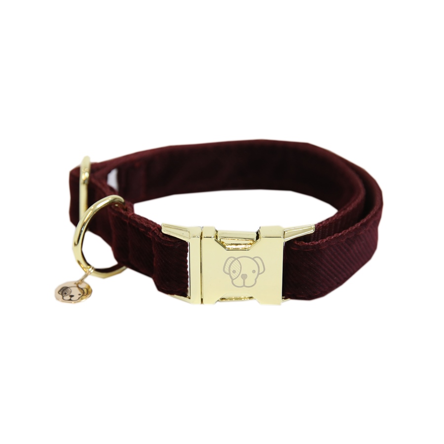 Kentucky Dogwear Corduroy Hundehalsband von Kentucky Dogwear