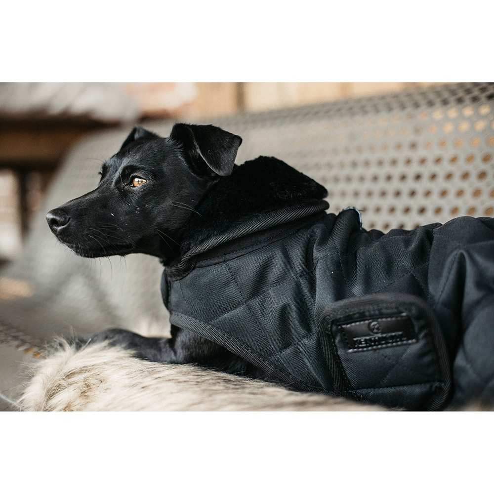 Kentucky Dogwear Hundemantel 160g Kentucky Dogwear Hundemantel 160g von Kentucky Dogwear