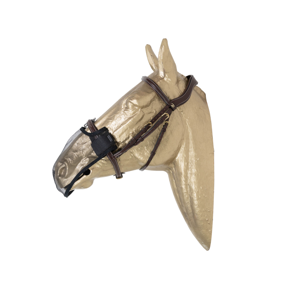 Kentucky Horsewear Anti Fly Nasen Netz Kentucky Horsewear Anti Fly Nasen Netz von Kentucky Horsewear