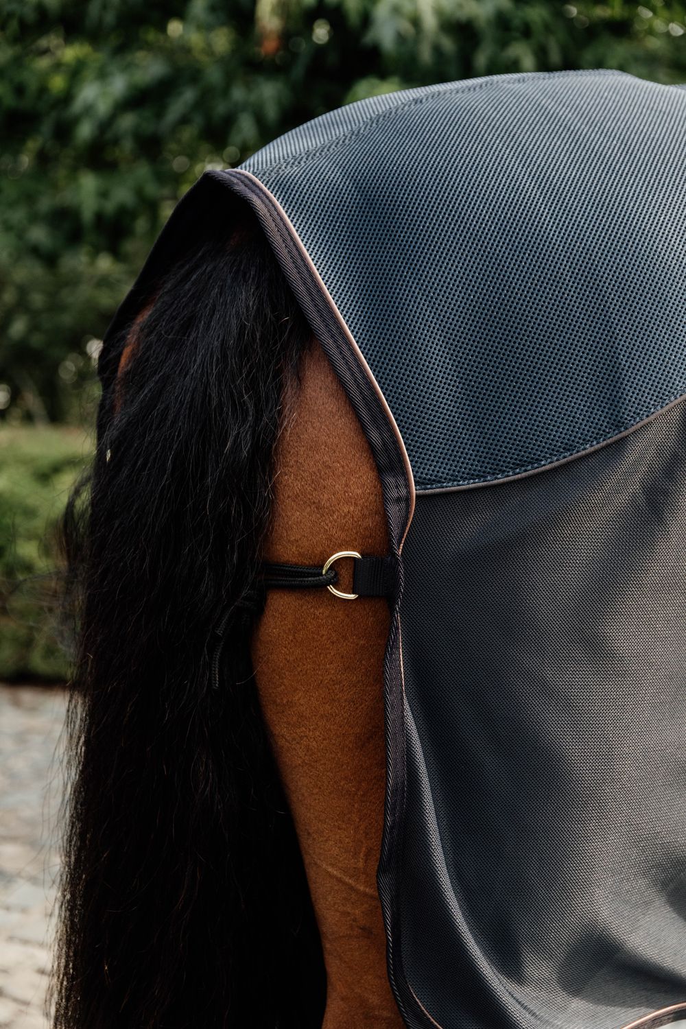 Kentucky Horsewear FliegenKombi Abschwitzdecke Kentucky Horsewear FliegenKombi Abschwitzdecke von Kentucky Horsewear