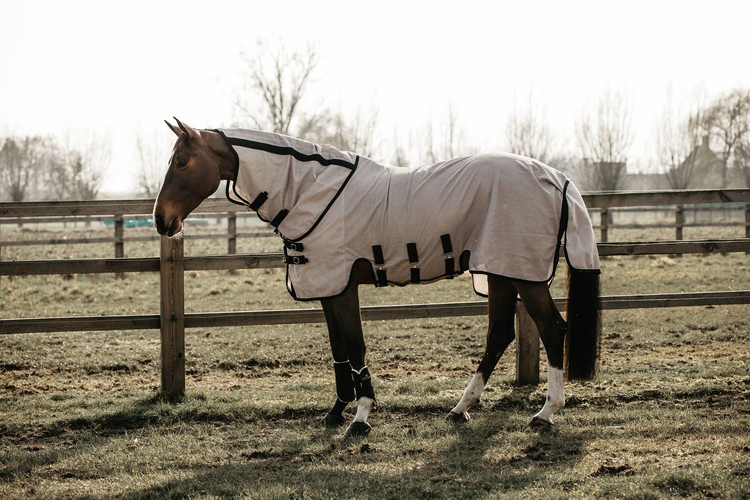 Kentucky Horsewear Fliegendecke mit Halsteil Kentucky Horsewear Fliegendecke mit Halsteil von Kentucky Horsewear
