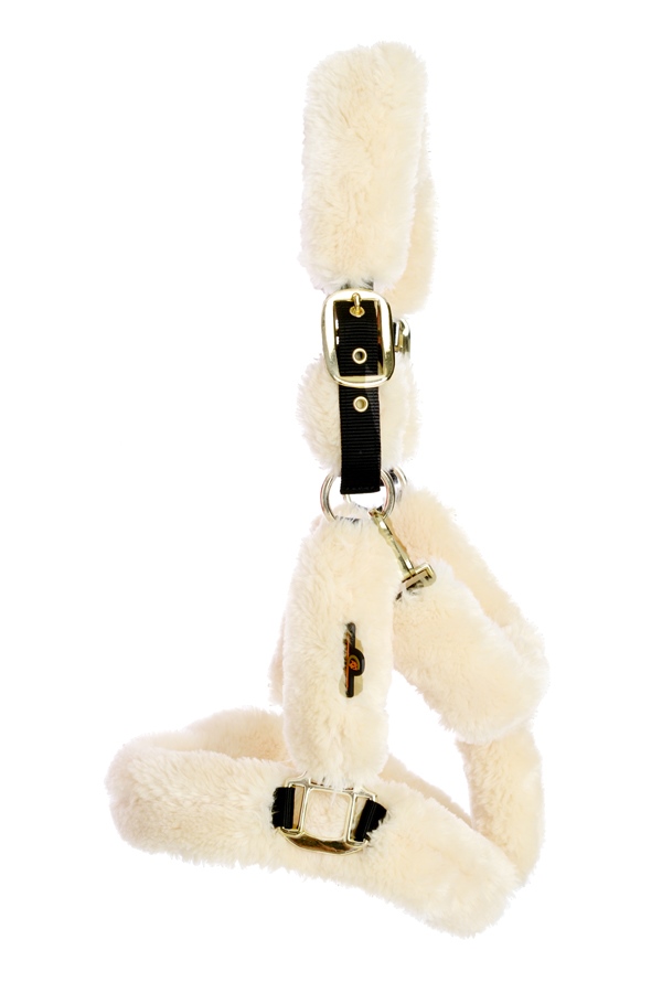 Kentucky Horsewear Lammfell Transporthalfter Kentucky Horsewear Lammfell Transporthalfter von Kentucky Horsewear