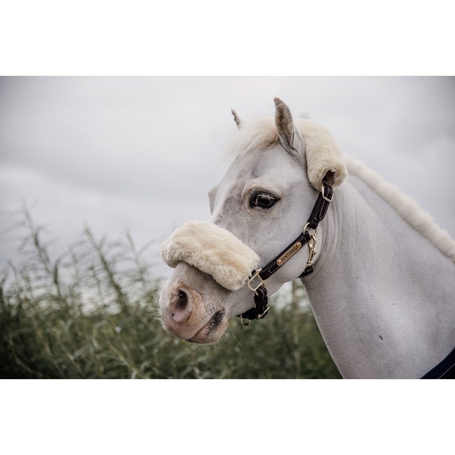 Kentucky Horsewear Lederhalfter mit Fell Kentucky Horsewear Lederhalfter mit Fell von Kentucky Horsewear