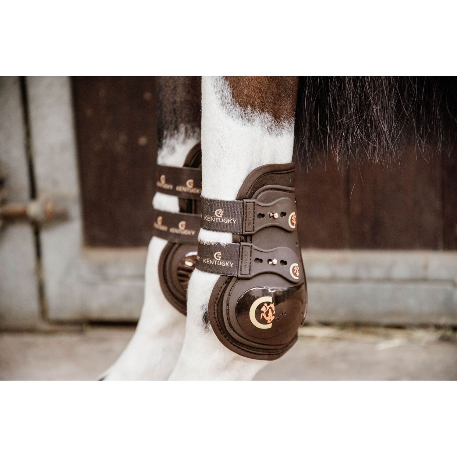 Kentucky Horsewear MOONBOOTS MAX ELASTIC Streichkappe Kentucky Horsewear MOONBOOTS MAX ELASTIC Streichkappe von Kentucky Horsewear