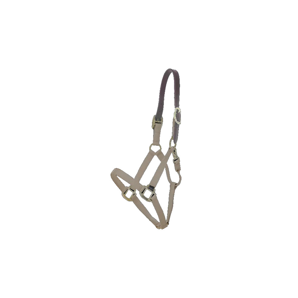 Kentucky Horsewear Nylon Halfter Breakaway Nackenstück Kentucky Horsewear Nylon Halfter Breakaway Nackenstück von Kentucky Horsewear