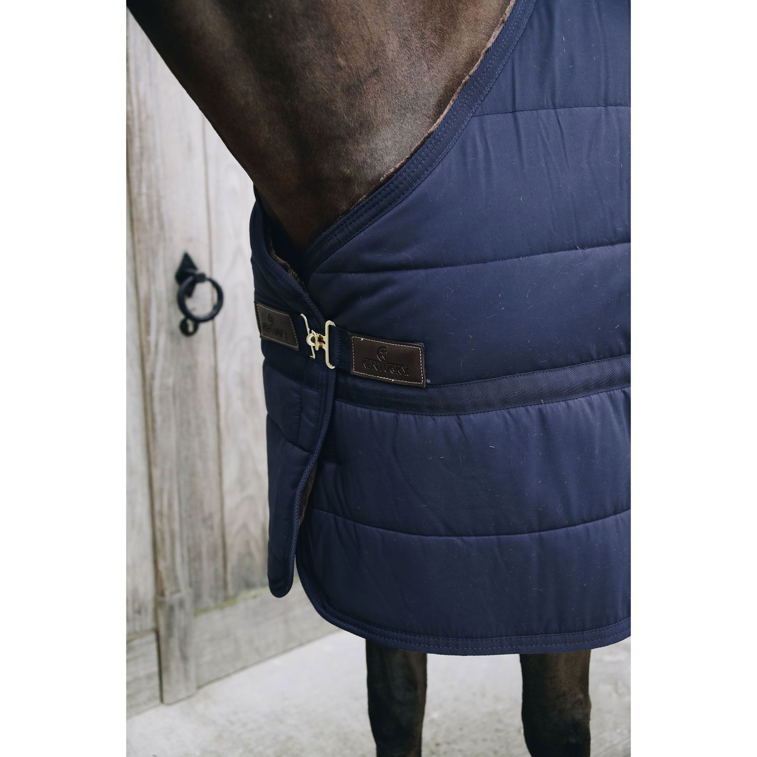 Kentucky Horsewear Skin Friendly Unterdecke mit künstlichem Kaninchenfell 150g Kentucky Horsewear Skin Friendly Unterdecke mit künstlichem Kaninchenfell 150g von Kentucky Horsewear