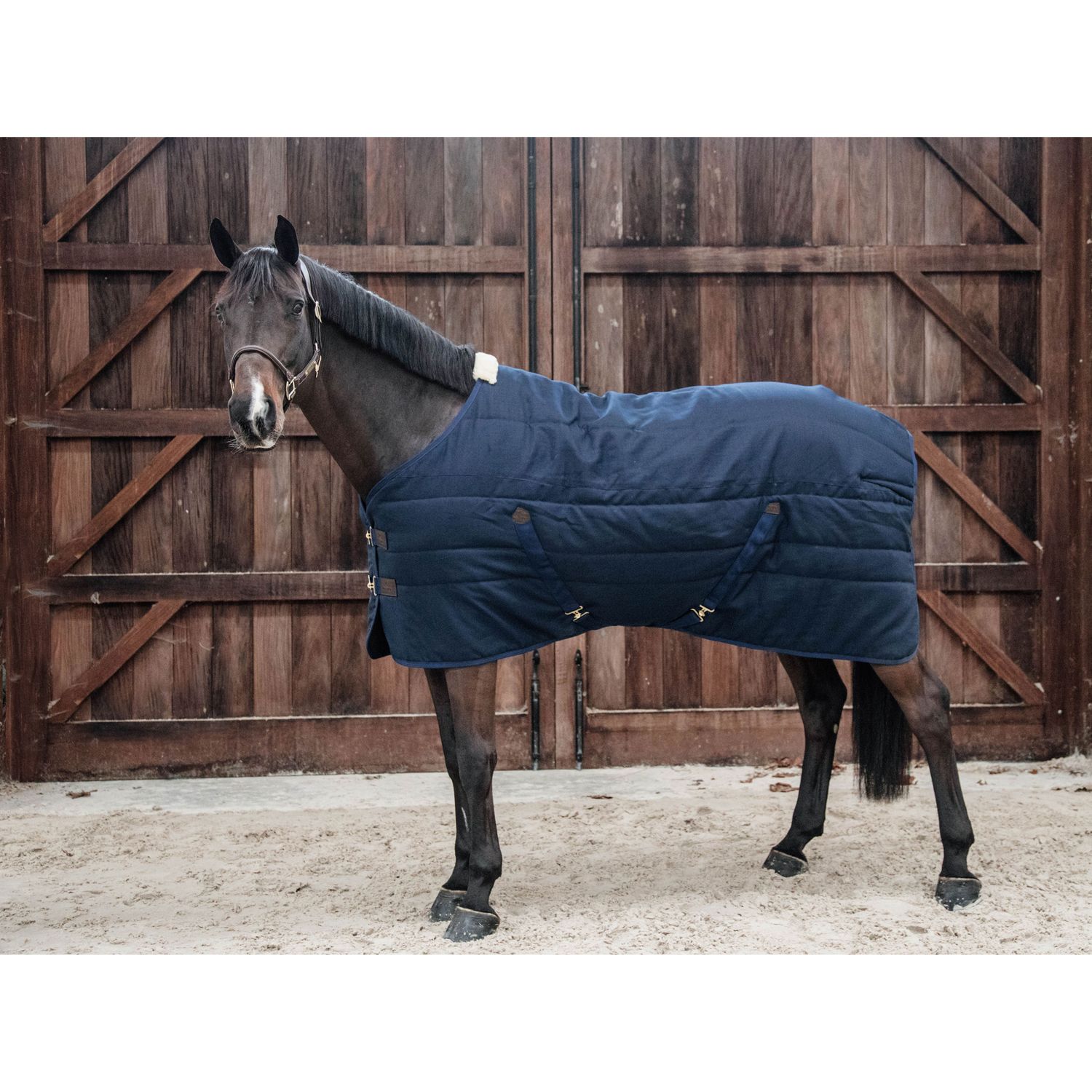 Kentucky Horsewear Stable Rug classic Stalldecke 100g Kentucky Horsewear Stable Rug classic Stalldecke 100g von Kentucky Horsewear
