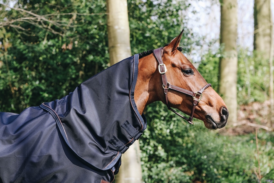 Kentucky Horsewear Turnout Rug All Weather mit künstlichem Kaninchenfell 300g Kentucky Horsewear Turnout Rug All Weather mit künstlichem Kaninchenfell 300g von Kentucky Horsewear