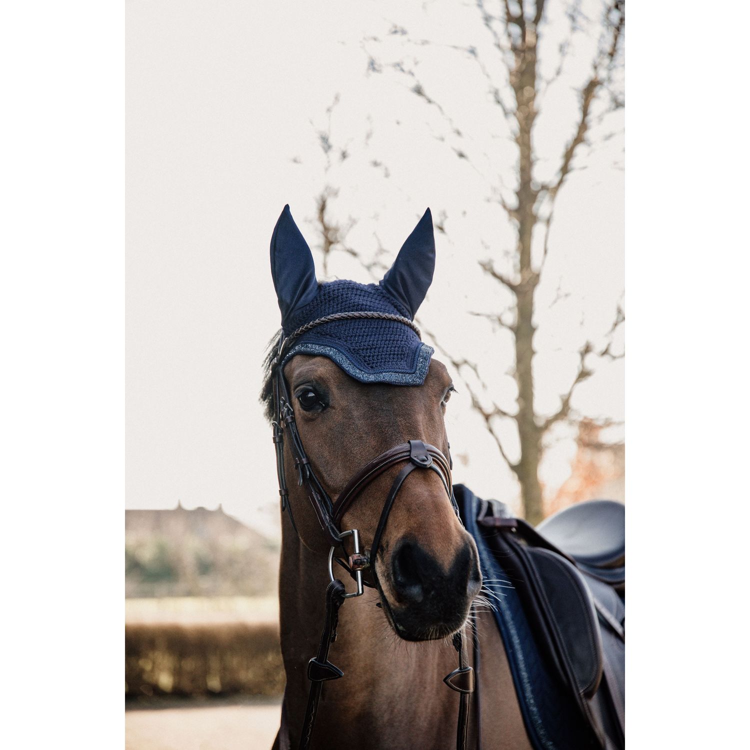 Kentucky Horsewear Wellington Glitter Stone Soundless Fliegenohren Kentucky Horsewear Wellington Glitter Stone Soundless Fliegenohren von Kentucky Horsewear
