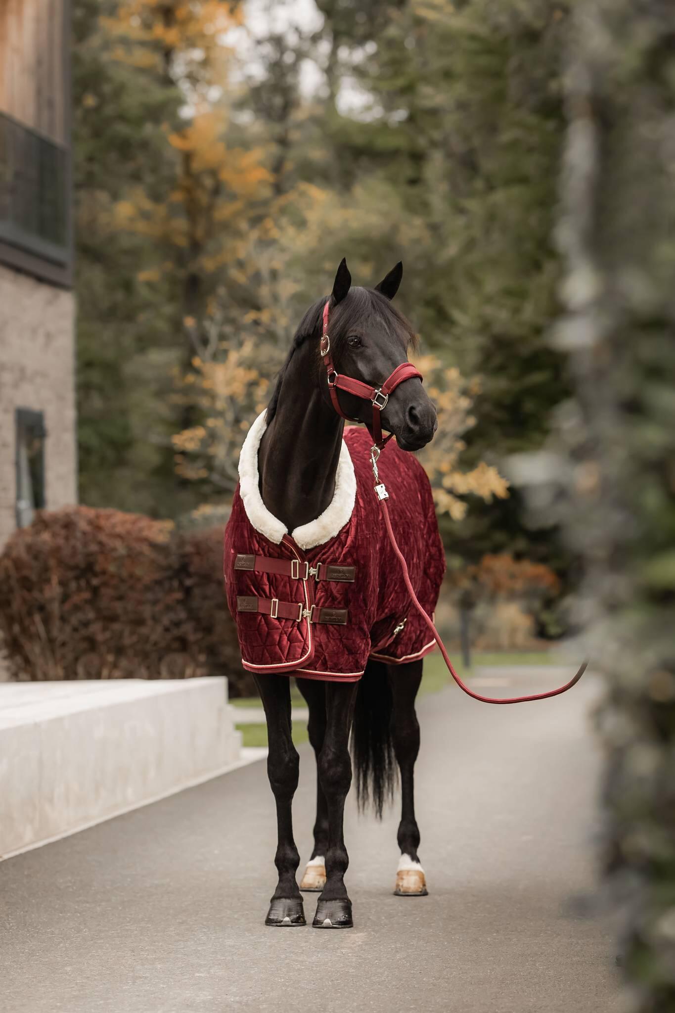 Show Rug velvet bordeaux 125-5'9 160g von Kentucky Horsewear