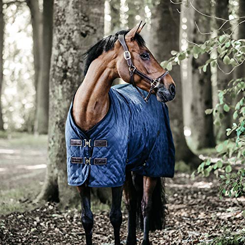 Stable Rug 0g 145cm navy von Kentucky