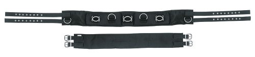 Kerbl 32354 Longiergurt Nylon, 9 Ringe Pony, Verstellbarer Bauchgurt, Schwarz Kerbl 32354 Longiergurt Nylon, 9 Ringe Pony, Verstellbarer Bauchgurt, Schwarz von Kerbl