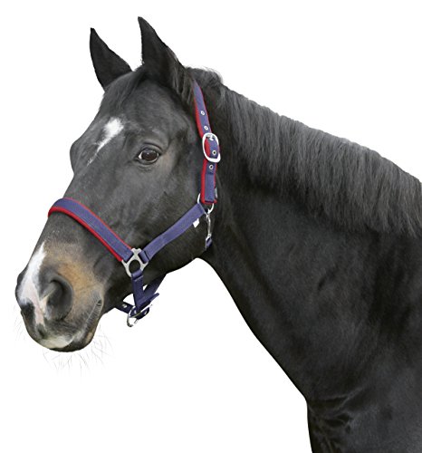 Kerbl Halfter Dexter mit Fleeceunterlage, Blau, 3, 323586 Kerbl Halfter Dexter mit Fleeceunterlage, Blau, 3, 323586 von Kerbl