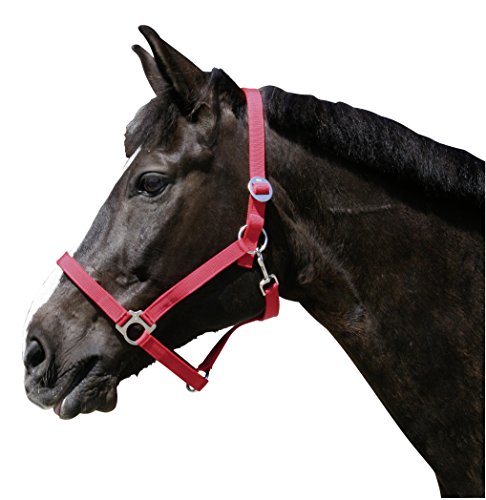 Kerbl Halfter Nylonhalfter Classic, Rot, 00, 32152 Kerbl Halfter Nylonhalfter Classic, Rot, 00, 32152 von Kerbl