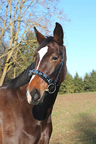 Kerbl Leder, Exklusiv WB, Incl. Gebissriemen Kappzaum, Schwarz, Warmblut von Kerbl