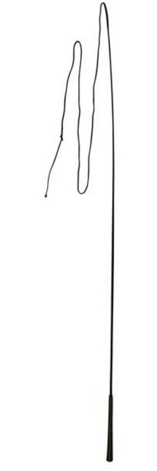 Kerbl Longierpeitsche Longierpeitsche 180 cm einteilig 32365, 1-tlg. Kerbl Longierpeitsche Longierpeitsche 180 cm einteilig 32365, 1-tlg. von Kerbl