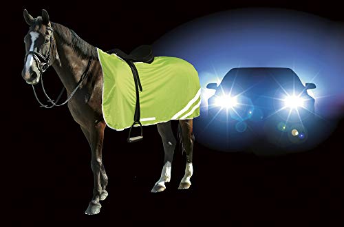 Kerbl Unisex Sikkerhedstæppe Reflekterende Sicherheitsdecke, Neongelb, 135 cm EU Kerbl Unisex Sikkerhedstæppe Reflekterende Sicherheitsdecke, Neongelb, 135 cm EU von Kerbl