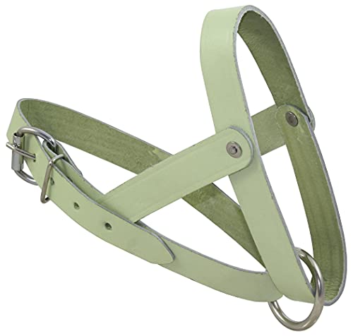 Ukal Schafhalfter aus Leder, Kopfhalfter, Bockhalfter, Lederhalfter, Verstellbarer Halfter für Schafe und Böcke Ukal Schafhalfter aus Leder, Kopfhalfter, Bockhalfter, Lederhalfter, Verstellbarer Halfter für Schafe und Böcke von Kerbl