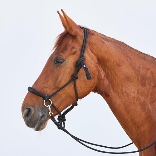 Kieffer Knotenhalfter K_Ruby mit Zügel Größe Warmblut, Farbe Black Bordeaux Kieffer Knotenhalfter K_Ruby mit Zügel Größe Warmblut, Farbe Black Bordeaux von Kieffer