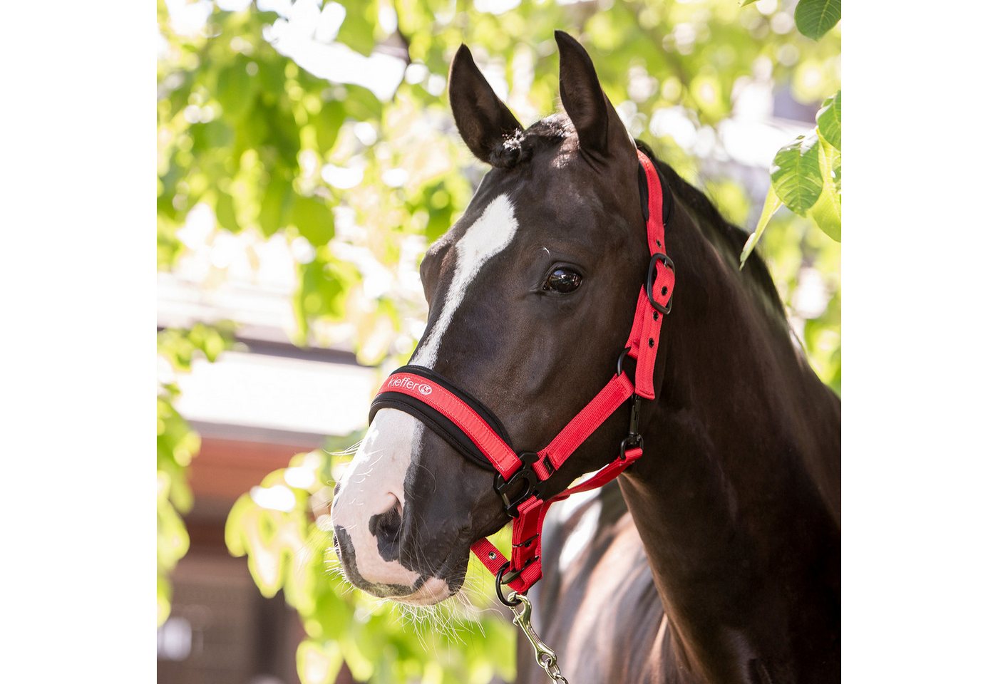 Kieffer Reithalfter Kieffer - Supreme Nylon-Halfter für Pferde - rot - Warmblut von Kieffer