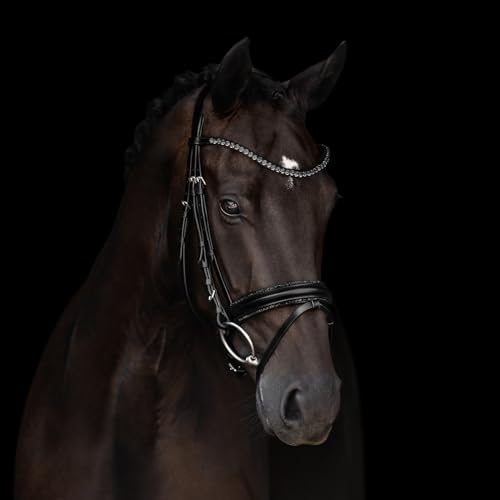 Kieffer Trensenzaum Grace schwarz mit Kristallbiese, Größe Pferd:Warmblut Kieffer Trensenzaum Grace schwarz mit Kristallbiese, Größe Pferd:Warmblut von Kieffer