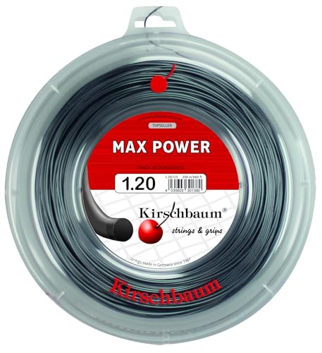 Max Powerroll Farbe Anthrazit, 1,20 m x 200 m von Kirschbaum