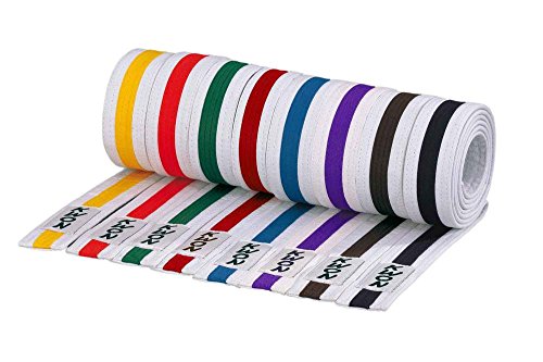 KWON Budogürtel mehrfarbig 240 weiß-blau KWON Budogürtel mehrfarbig 240 weiß-blau von Kwon
