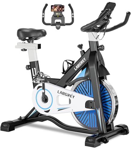 LABGREY Heimtrainer Fahrrad, Fitness Fahrrad für Zuhause, Indoor Kardio Training, Bike mit Pulsmesser, LCD Display, Ipad Halter, Sitz & Widerstand Einstellbar, Bis 130KG (Silber) von LABGREY