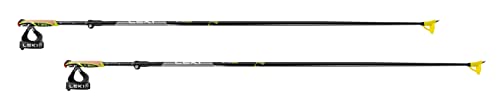 LEKI Unisex-Adult Skistock, Mehrfarbig, 155 LEKI Unisex-Adult Skistock, Mehrfarbig, 155 von LEKI
