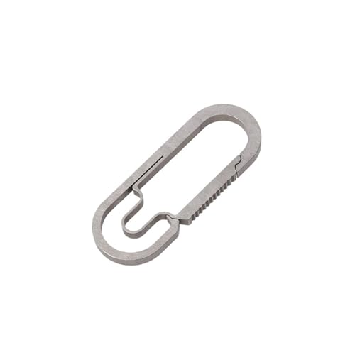 LHAODDUO 1PCS Outdoor Camping Karabiner for Schlüsselbund Hängende Schnalle Karabinerhaken(Silver,4CM) von LHAODDUO