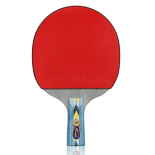 LOANDSDE ping-Pong schläger 4 Star Tischtennisschläger, professioneller Tischtennisschläger, Tischtennisschläger for Anfänger mit ITTF-zugelassenem Gummi, bequemer Griff(Long Handle) von LOANDSDE